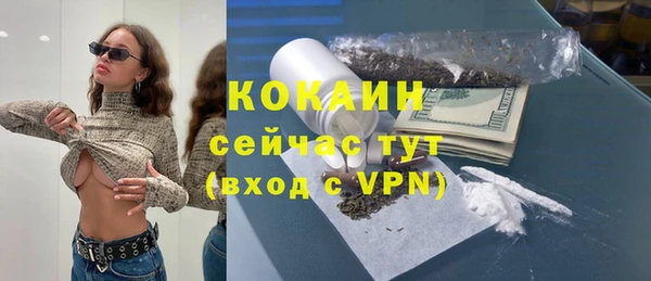 дмт Ладушкин