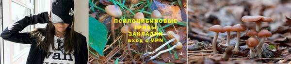 apvp Лабытнанги