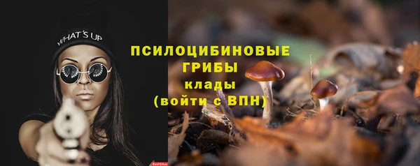 apvp Лабытнанги
