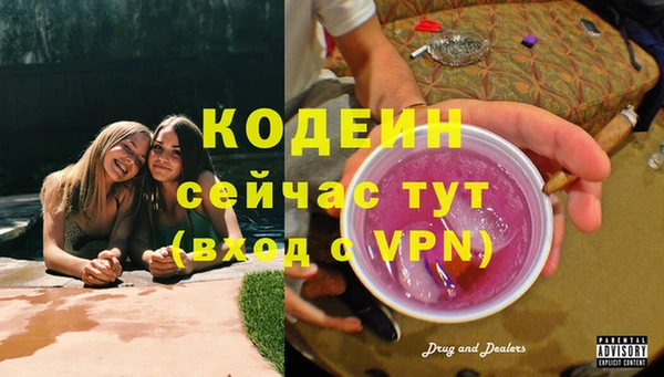 дмт Ладушкин