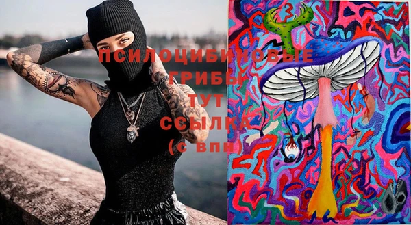 дмт Ладушкин