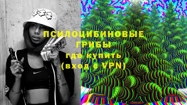 apvp Лабытнанги