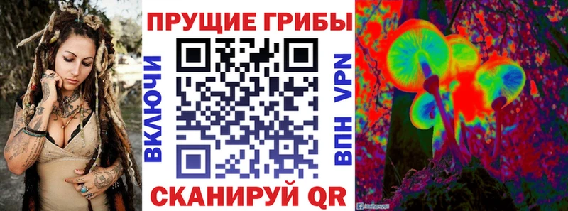 Купить где  Людиново  Псилоцибиновые грибы Magic Shrooms 